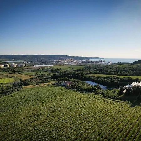 Apartma Amalija * Spodnje Skofije