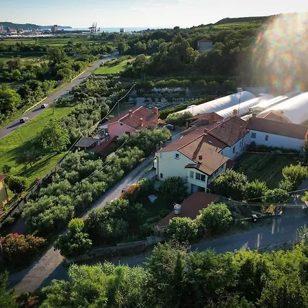 Apartma Amalija Apartamento