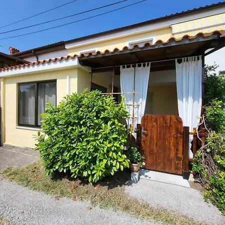 Apartma Amalija *
