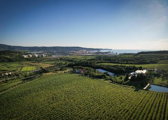 Apartma Amalija * Spodnje Skofije