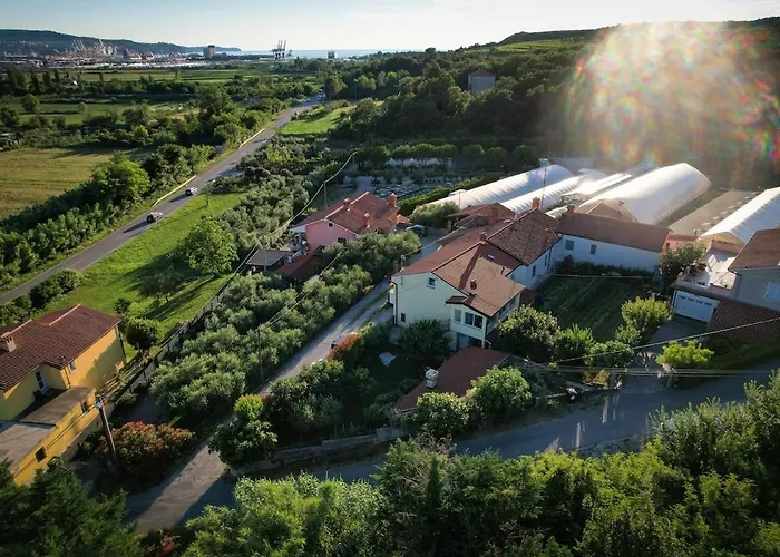 Apartma Amalija شقة