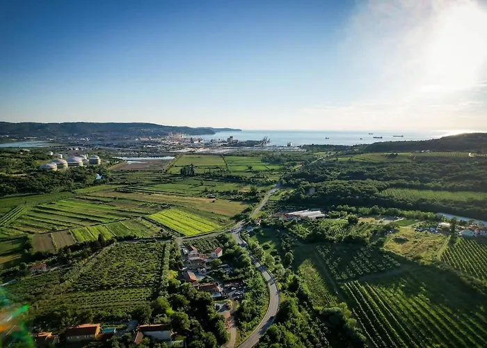 Apartma Amalija شقة *